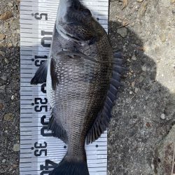 イチノ兄弟、釣果！