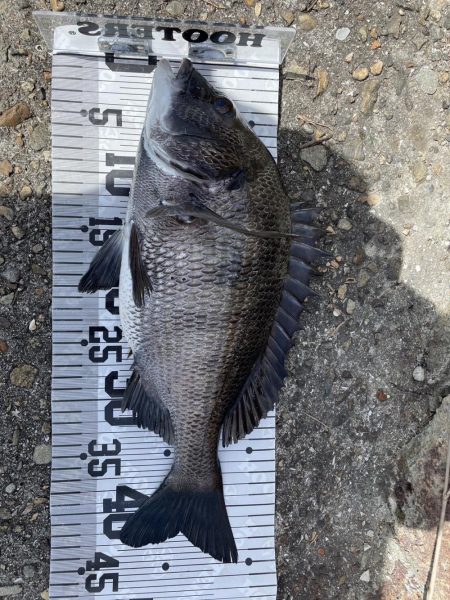 イチノ兄弟、釣果！