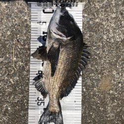 イチノ兄弟、釣果!