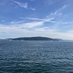 大サバとグレ狙い