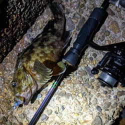 今シーズンワースト