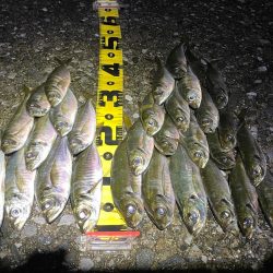 サーフでフロート〜