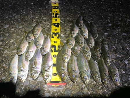 サーフでフロート〜