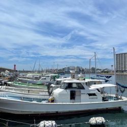 明石ジギング釣行