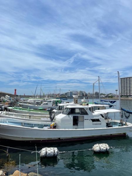 明石ジギング釣行