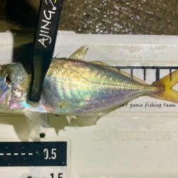 今夜も雨、でも行く！笑