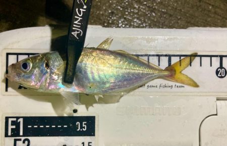 今夜も雨、でも行く！笑