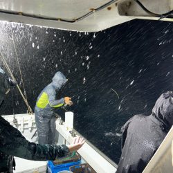 暴風雨イカメタル