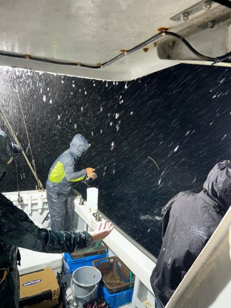 暴風雨イカメタル