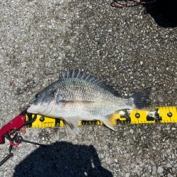 熱中症にはご注意を。