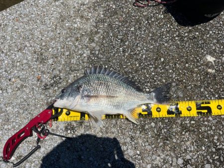 熱中症にはご注意を。