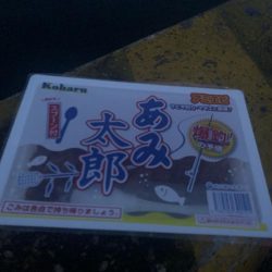 1年ぶりからの昨日ぶりのサビキ