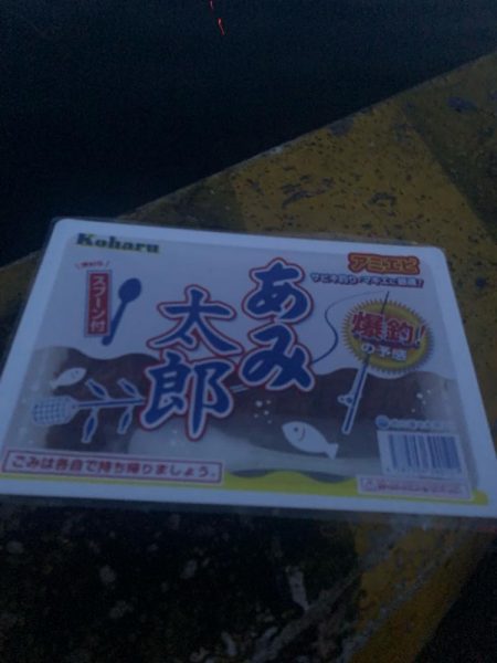 1年ぶりからの昨日ぶりのサビキ