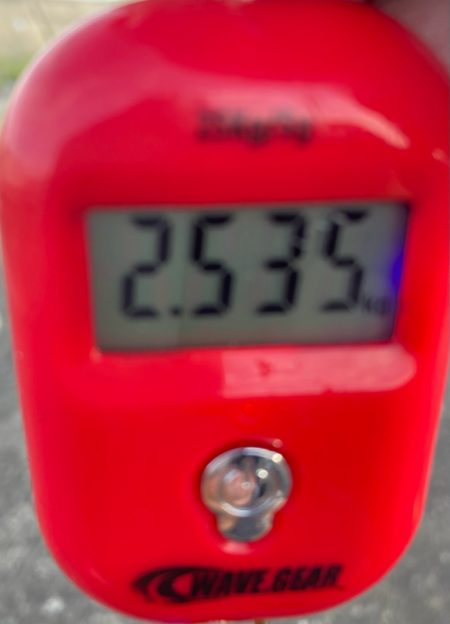 ⭐︎コスパ良し