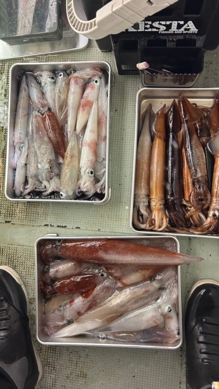 イカメタル2回目