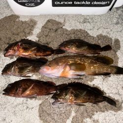 夏でも立派な奴がいた