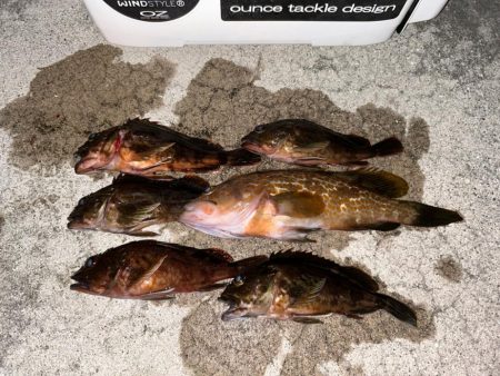 夏でも立派な奴がいた