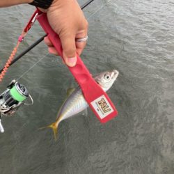 ディープアジング