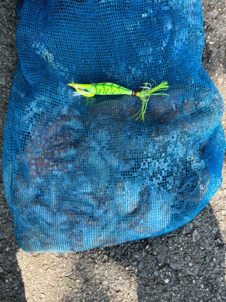 オクトパッシング15