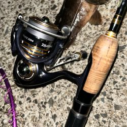 マナティでライトワインド