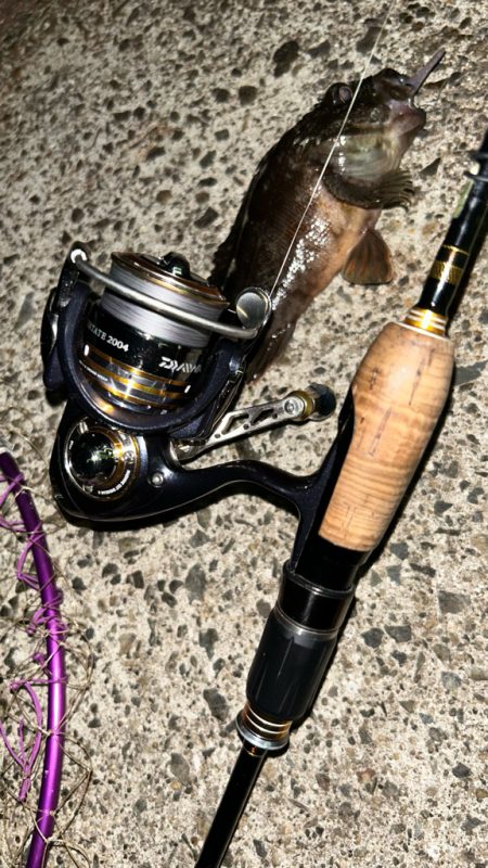 マナティでライトワインド