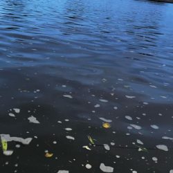 鉄板バイブが効きすぎる！