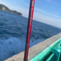 南伊勢のイカメタルゲーム