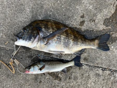 下潮釣行 時合いは一瞬でさした