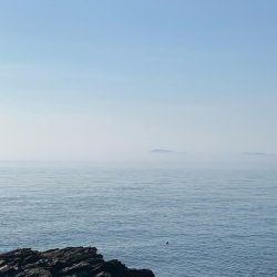 ショアジギング楽しい！