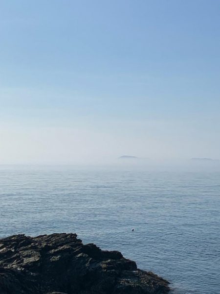 ショアジギング楽しい！