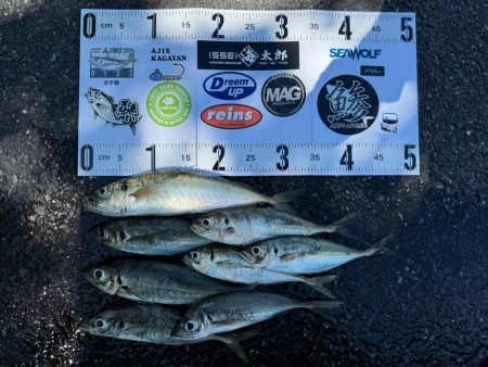 ボートアジング