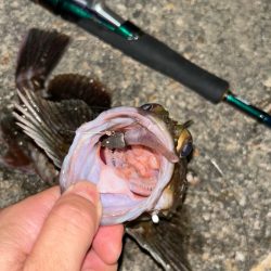 サイズアップライトワインド