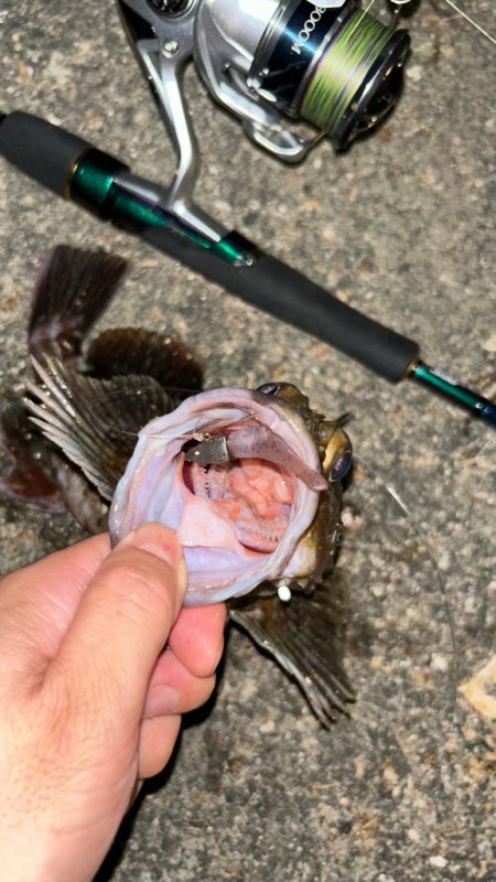 サイズアップライトワインド