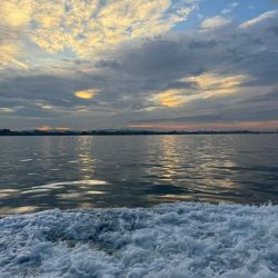 釣り船西海　明石タコ釣り