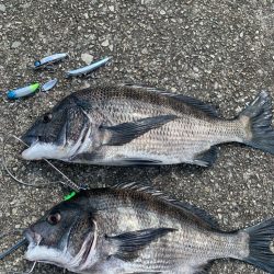 スウィングウォブラー四連発