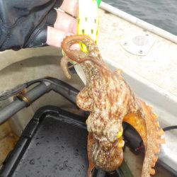 船タコ最終戦〜盛和丸〜