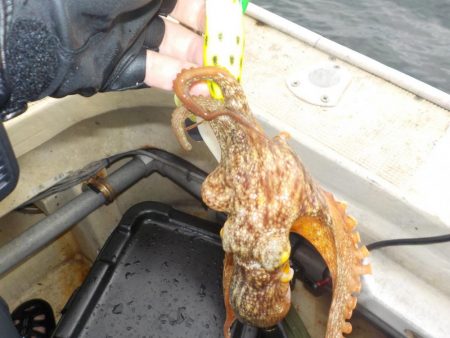 船タコ最終戦〜盛和丸〜