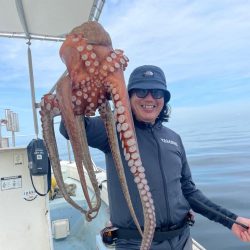 室津の夏フグ&タコ