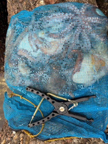 オクトパッシング10