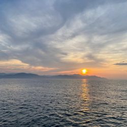 イカメタル日本海