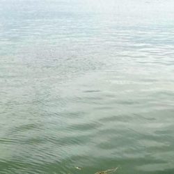 朝はどうだ⁉️