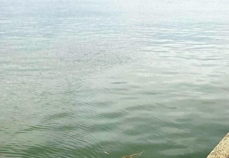 朝はどうだ⁉️