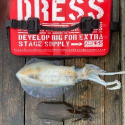 3度目の三重遠征ヤエン釣りにてキロover!