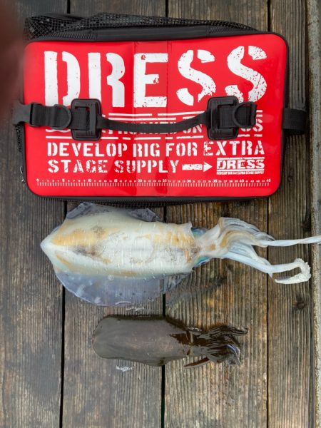 3度目の三重遠征ヤエン釣りにてキロover!