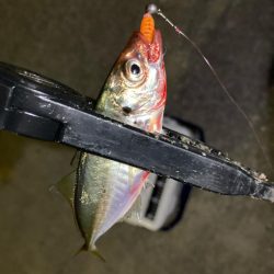 表層は豆軍団、ボトムはまあまあ👍