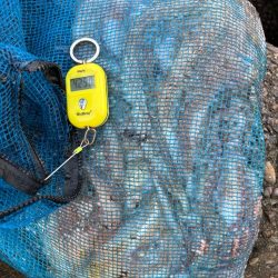 オクトパッシング11