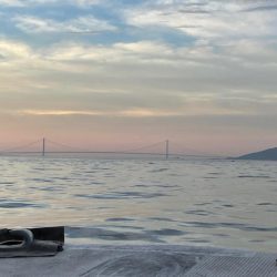 船タコいい感じ