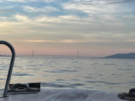 船タコいい感じ