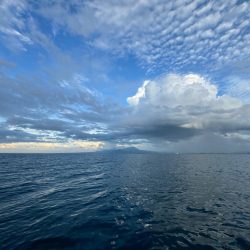 仕事終わりのボートアジング