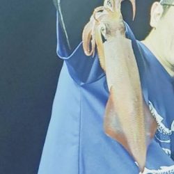 イカメタル爆釣